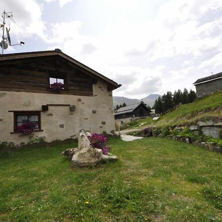 Mountain Chalet Scoiattolo By Livigno Accomodation Ngoại thất bức ảnh