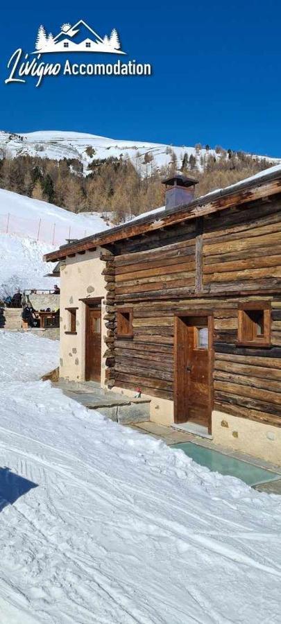 Mountain Chalet Scoiattolo By Livigno Accomodation Ngoại thất bức ảnh