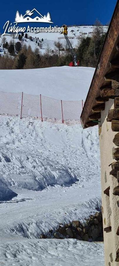 Mountain Chalet Scoiattolo By Livigno Accomodation Ngoại thất bức ảnh