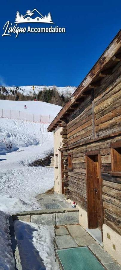 Mountain Chalet Scoiattolo By Livigno Accomodation Ngoại thất bức ảnh