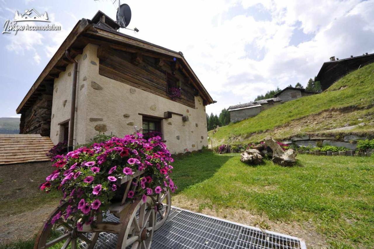 Mountain Chalet Scoiattolo By Livigno Accomodation Ngoại thất bức ảnh
