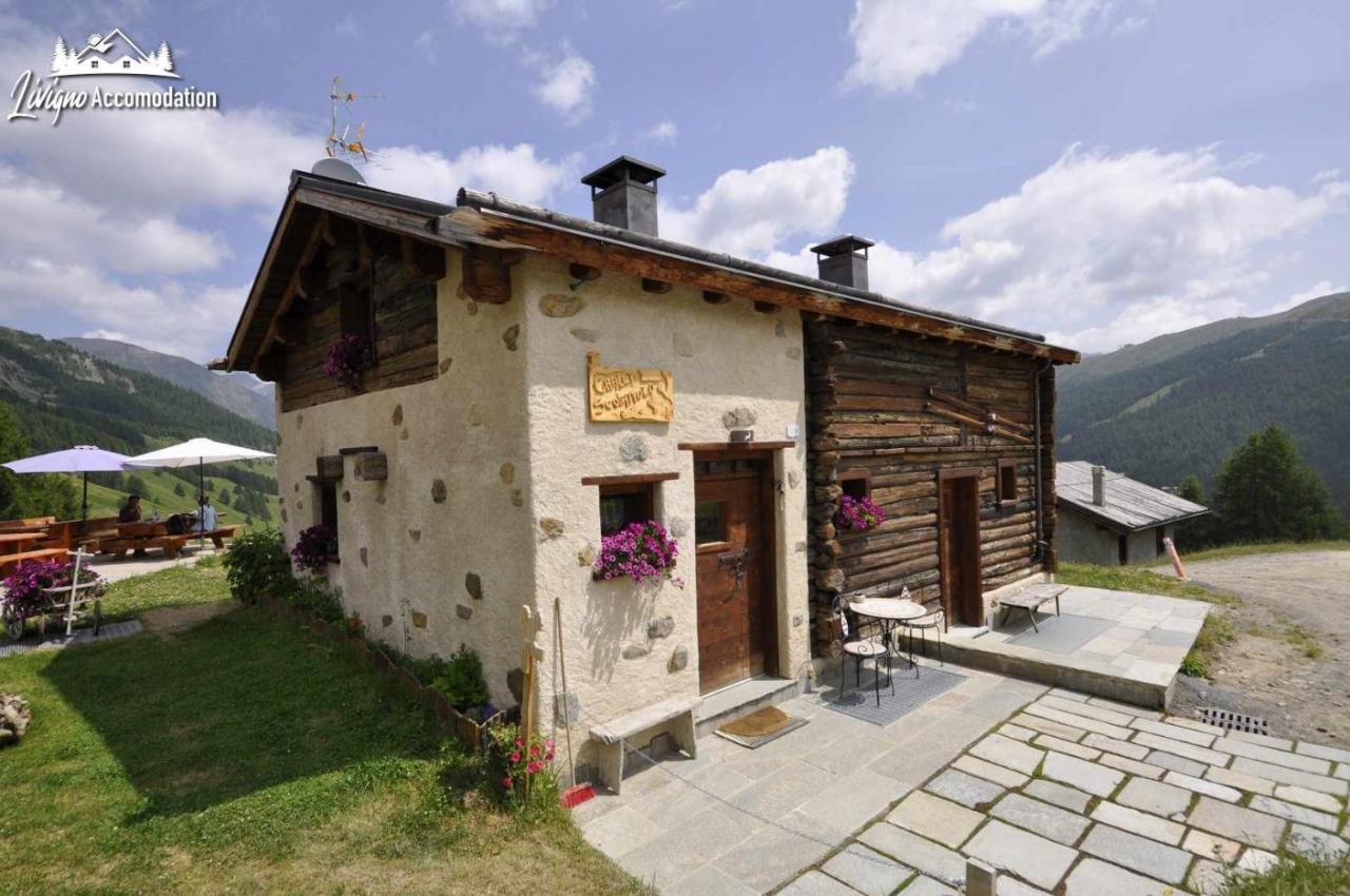 Mountain Chalet Scoiattolo By Livigno Accomodation Ngoại thất bức ảnh