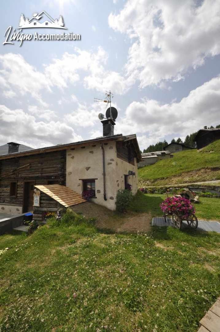 Mountain Chalet Scoiattolo By Livigno Accomodation Ngoại thất bức ảnh