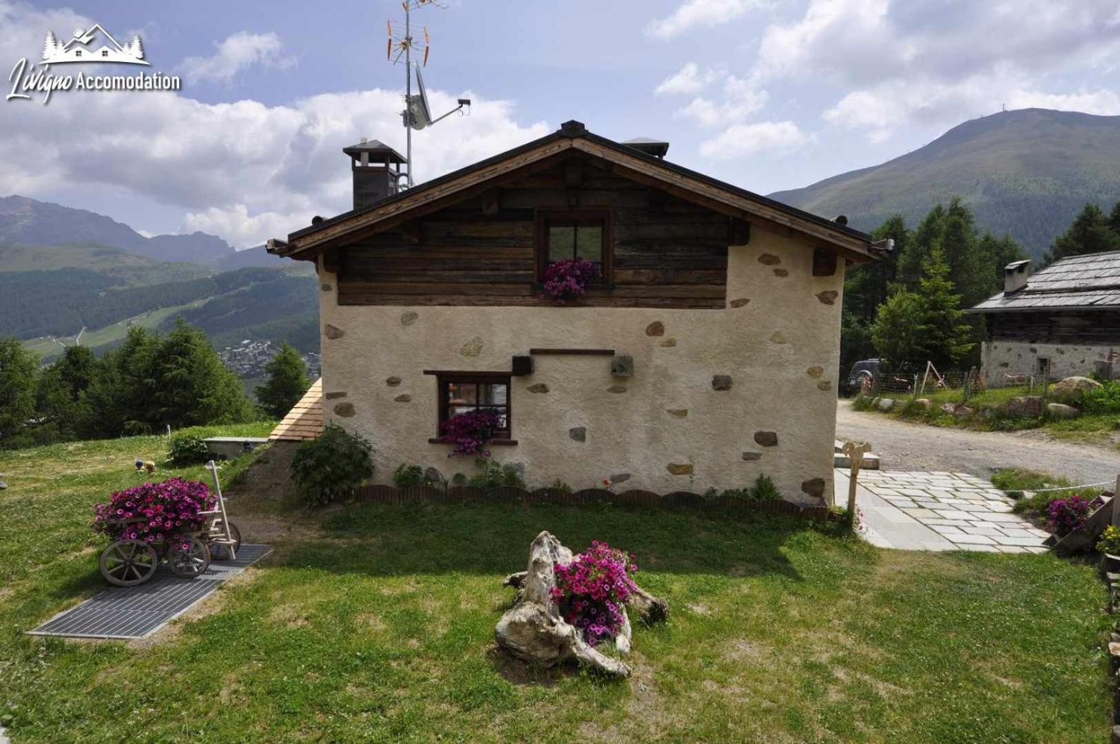 Mountain Chalet Scoiattolo By Livigno Accomodation Ngoại thất bức ảnh