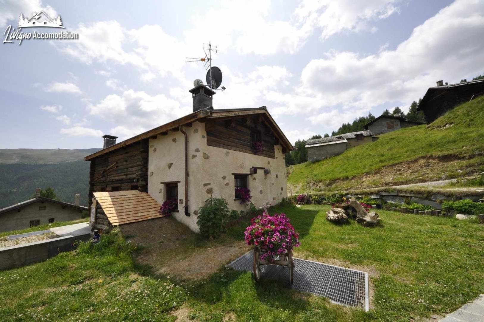 Mountain Chalet Scoiattolo By Livigno Accomodation Ngoại thất bức ảnh